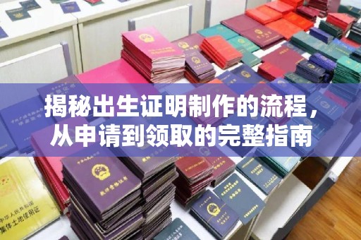 润州揭秘出生证明制作的流程，从申请到领取的完整指南