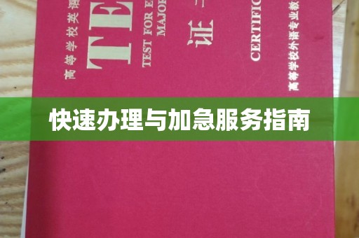 润州快速办理与加急服务指南
