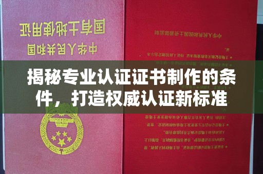 润州揭秘专业认证证书制作的条件，打造权威认证新标准