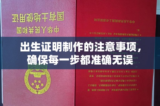润州出生证明制作的注意事项，确保每一步都准确无误