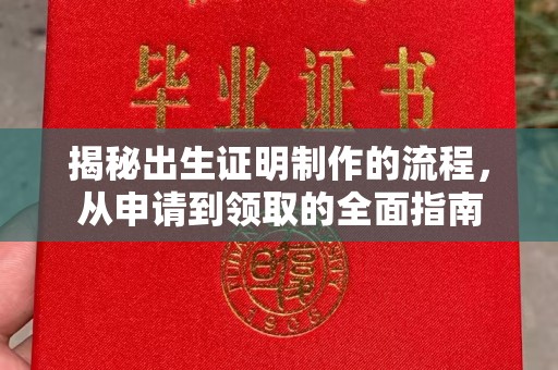 润州揭秘出生证明制作的流程，从申请到领取的全面指南